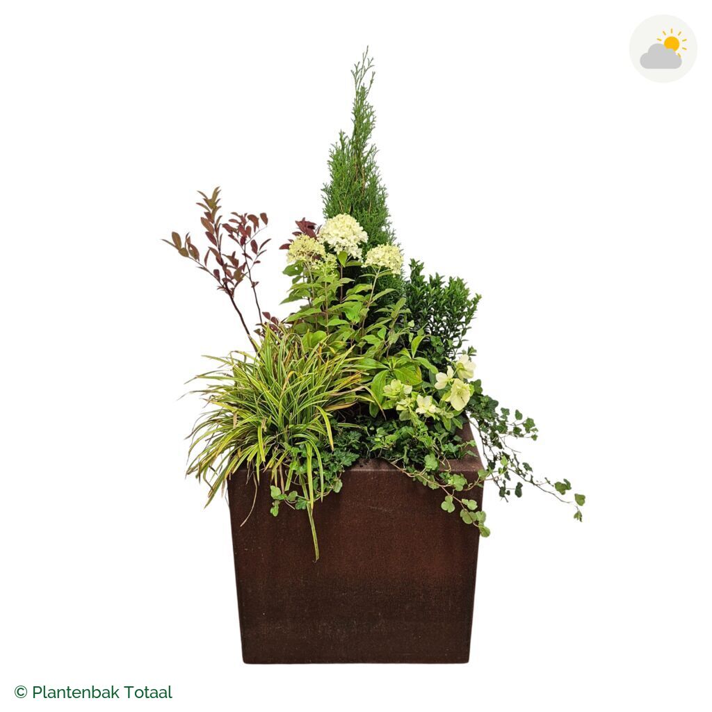 productfoto van plantenbak Cortenstaal Carrez Vierkant Set Ardennen