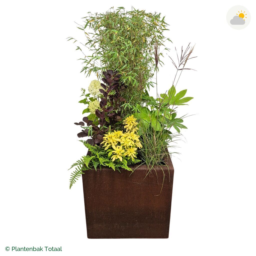 productfoto van plantenbak Cortenstaal Carrez Vierkant Set Bohemen