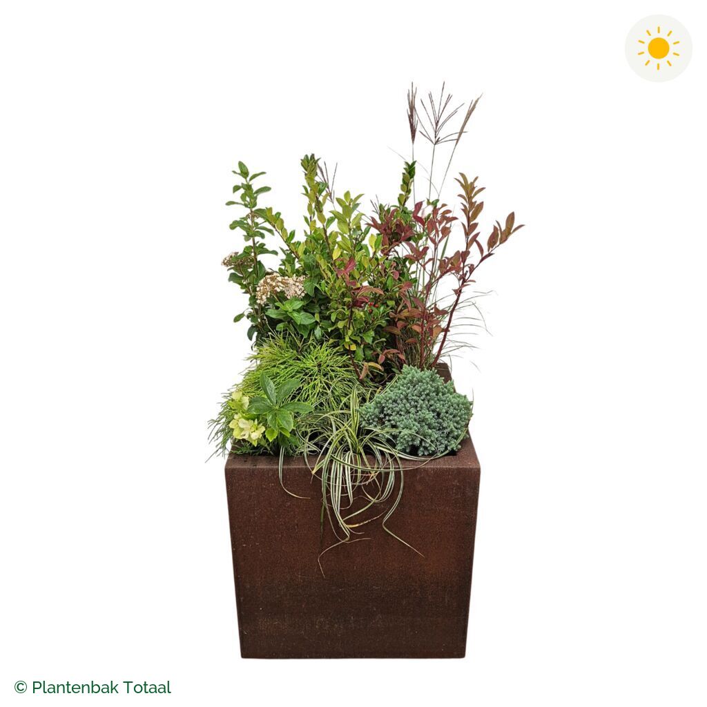productfoto van plantenbak Cortenstaal Carrez Vierkant Set Bretagne