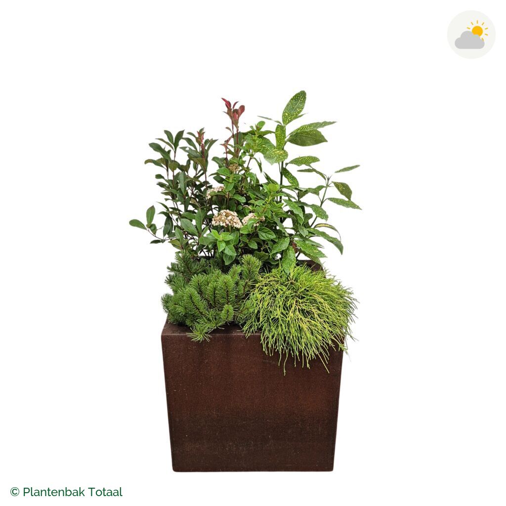 productfoto van plantenbak Cortenstaal Carrez Vierkant Set Eifel