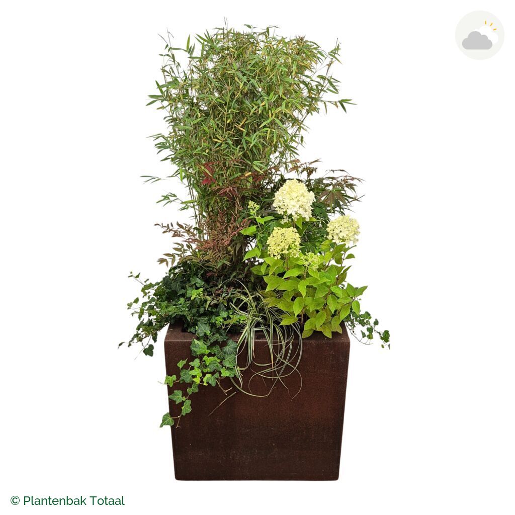 productfoto van plantenbak Cortenstaal Carrez Vierkant Set Himalaya