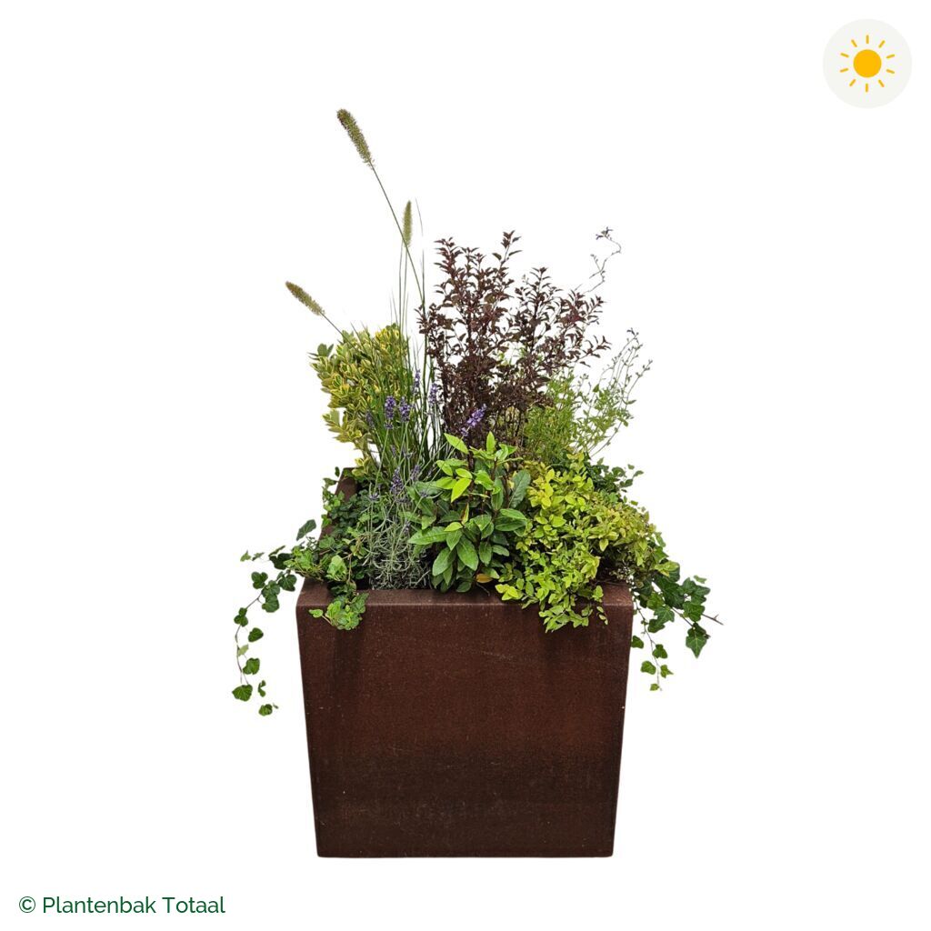 productfoto van plantenbak Cortenstaal Carrez Vierkant Set Provence