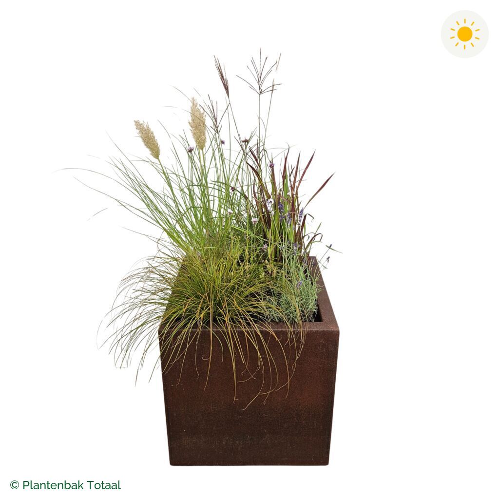 productfoto van plantenbak Cortenstaal Carrez Vierkant Set Savanne