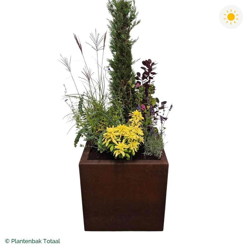productfoto van plantenbak Cortenstaal Carrez Vierkant Set Toscane