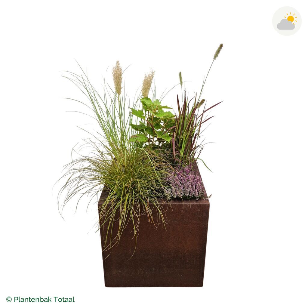 productfoto van plantenbak Cortenstaal Carrez Vierkant Set Veluwe