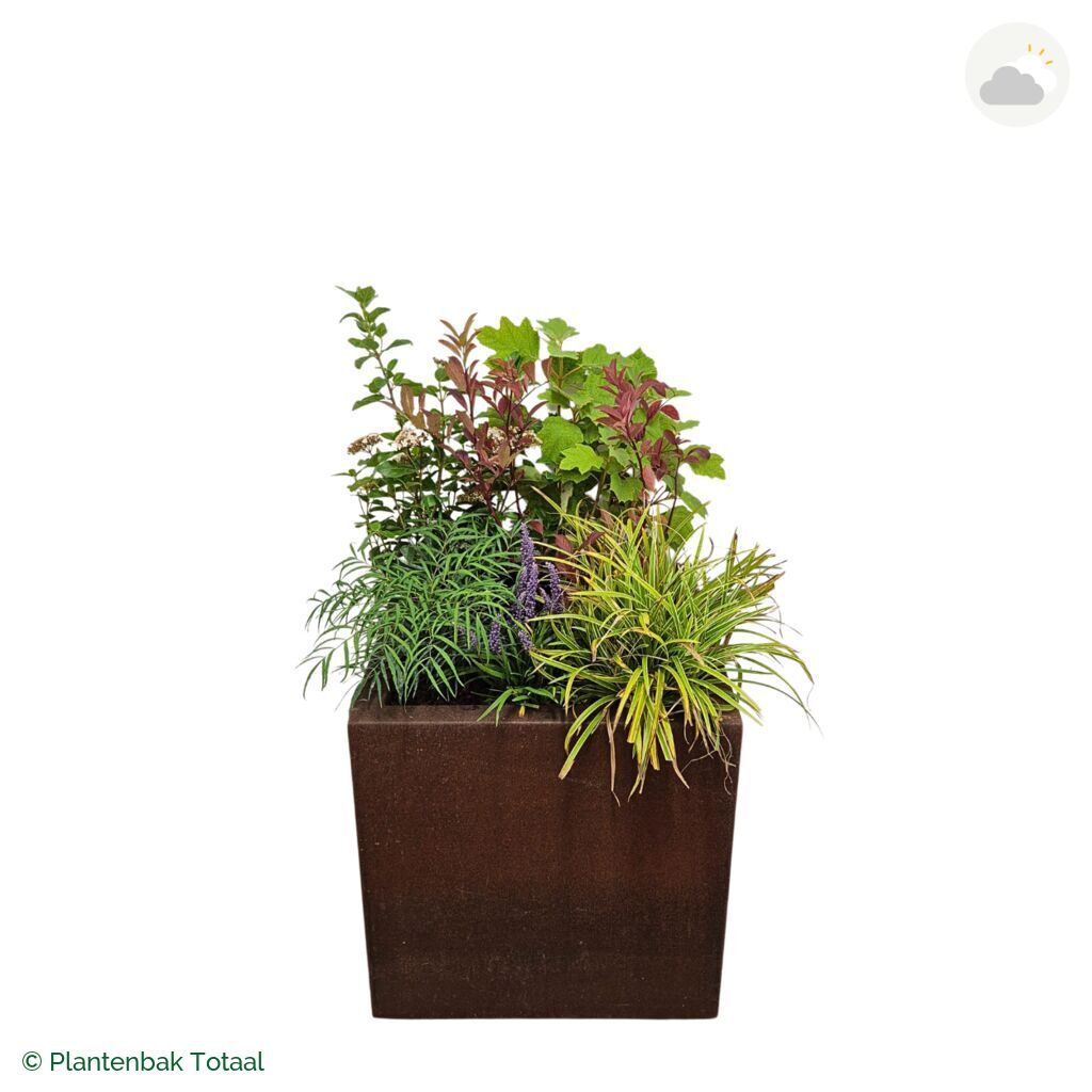 productfoto van plantenbak Cortenstaal Carrez Vierkant Set York