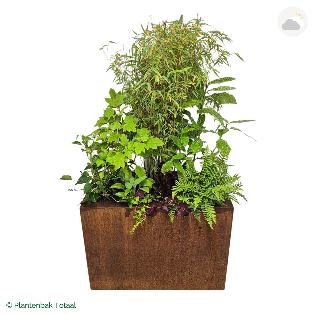 productfoto van plantenbak Cortenstaal Carrez Rechthoek Set Amazone