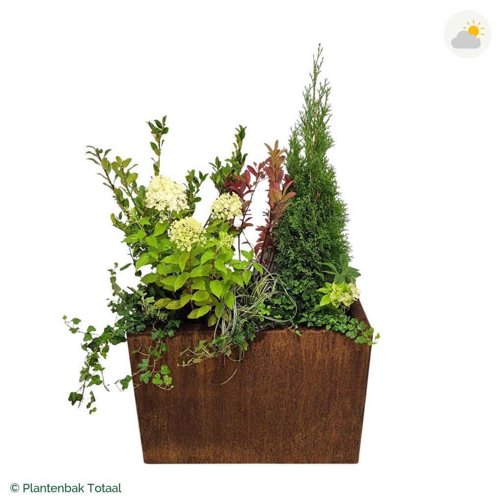 productfoto van plantenbak Cortenstaal Carrez Rechthoek Set Ardennen