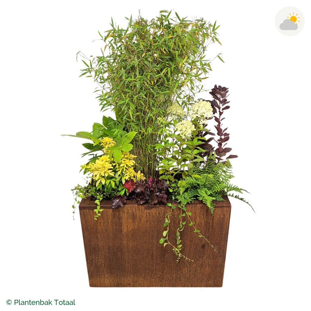 productfoto van plantenbak Cortenstaal Carrez Rechthoek Set Bohemen