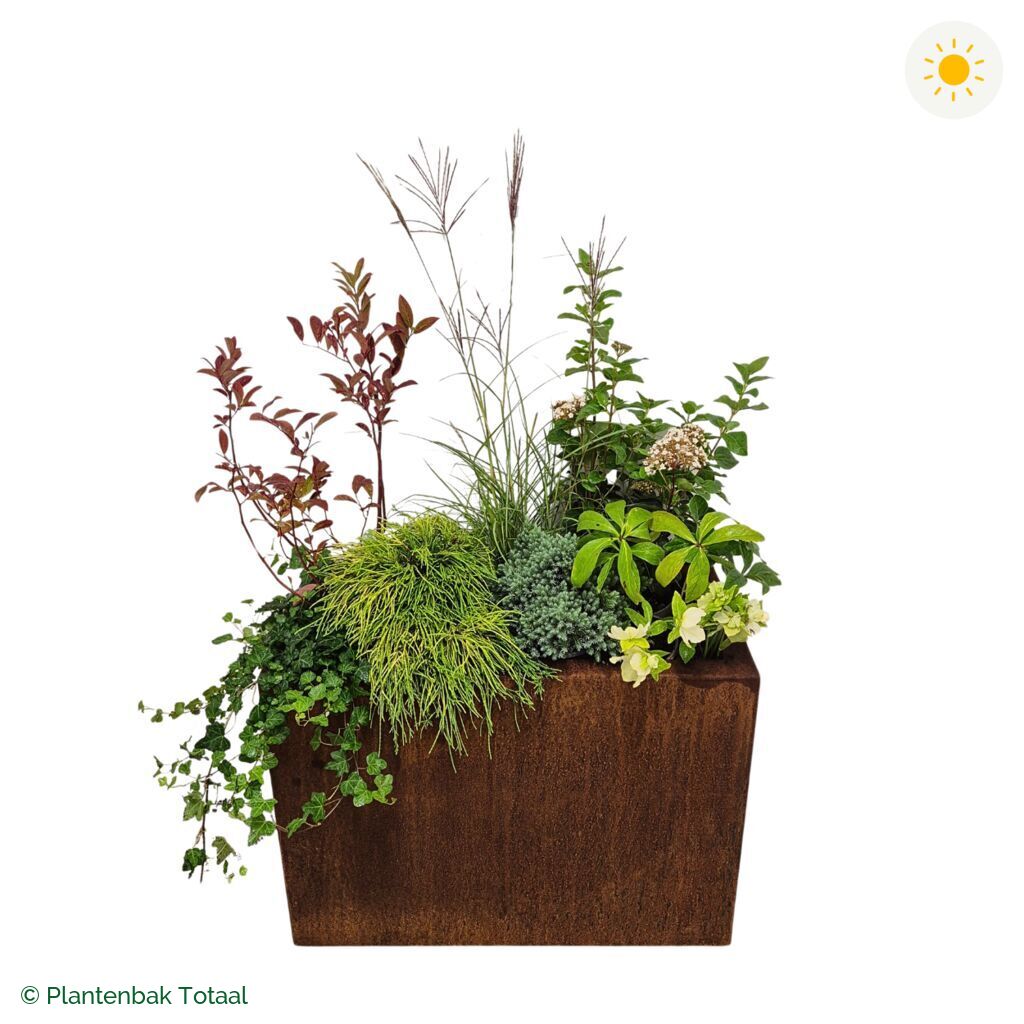 productfoto van plantenbak Cortenstaal Carrez Rechthoek Set Bretagne