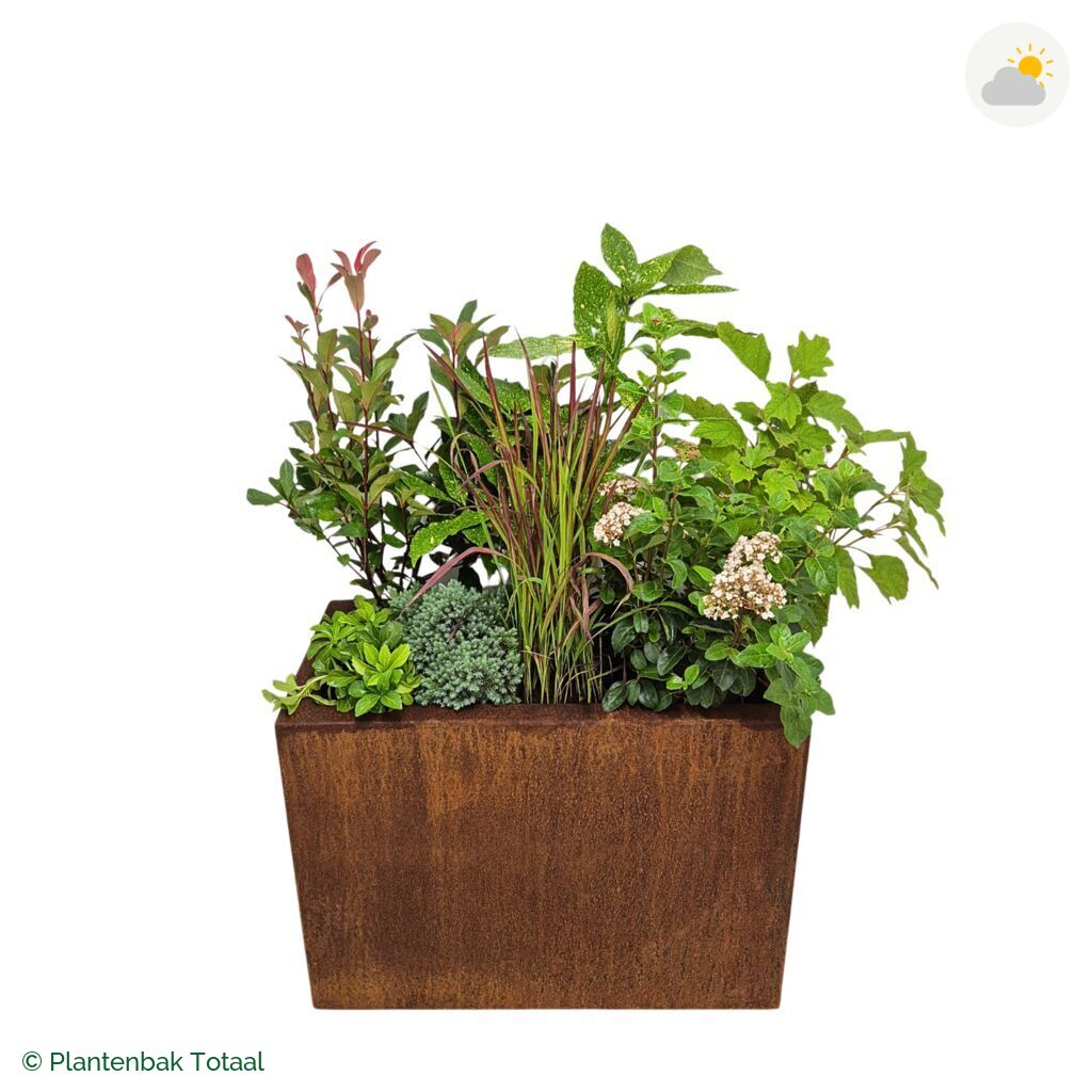 productfoto van plantenbak Cortenstaal Carrez Rechthoek Set Eifel