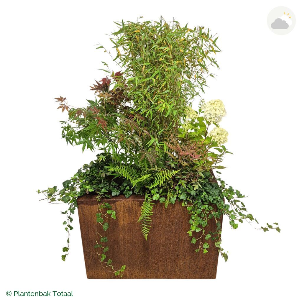 productfoto van plantenbak Cortenstaal Carrez Rechthoek Set Himalaya