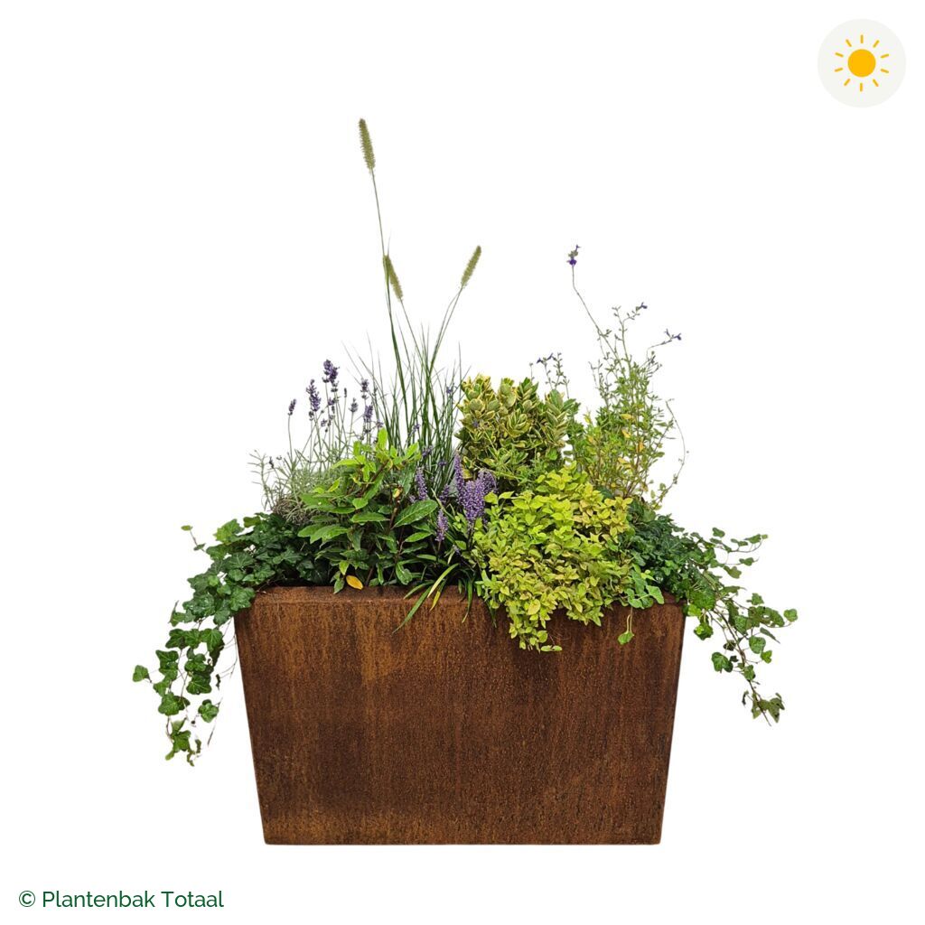 productfoto van plantenbak Cortenstaal Carrez Rechthoek Set Provence
