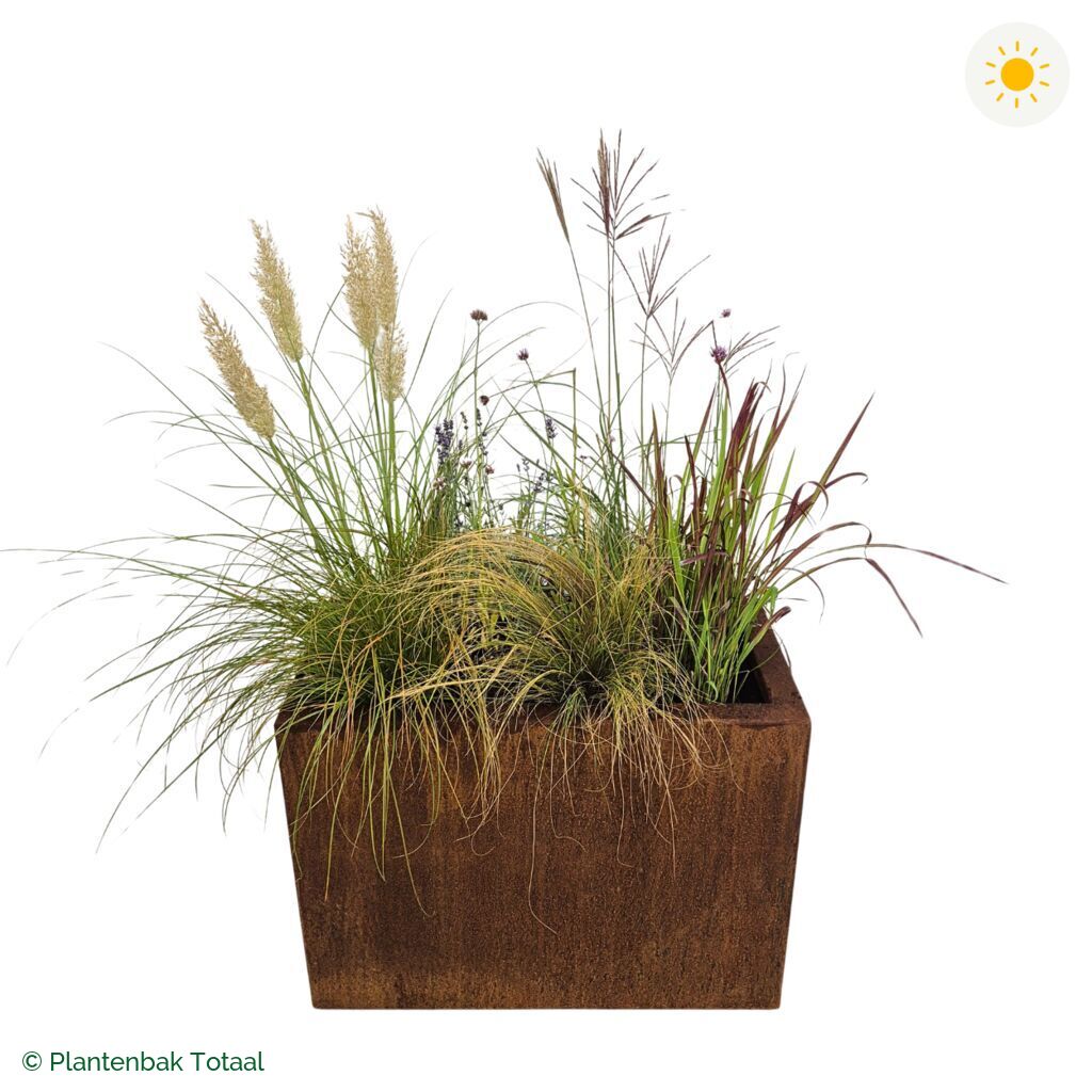 productfoto van plantenbak Cortenstaal Carrez Rechthoek Set Savanne