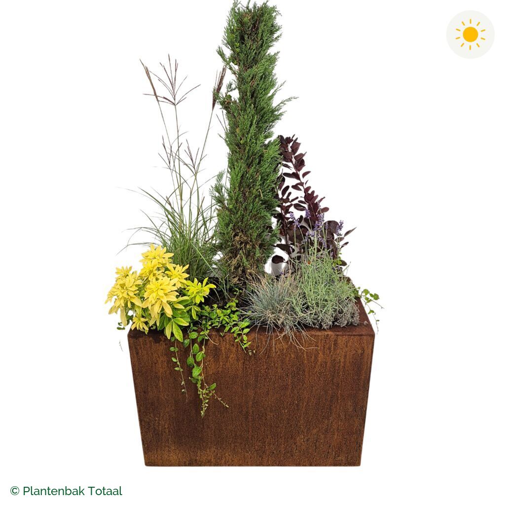 productfoto van plantenbak Cortenstaal Carrez Rechthoek Set Toscane