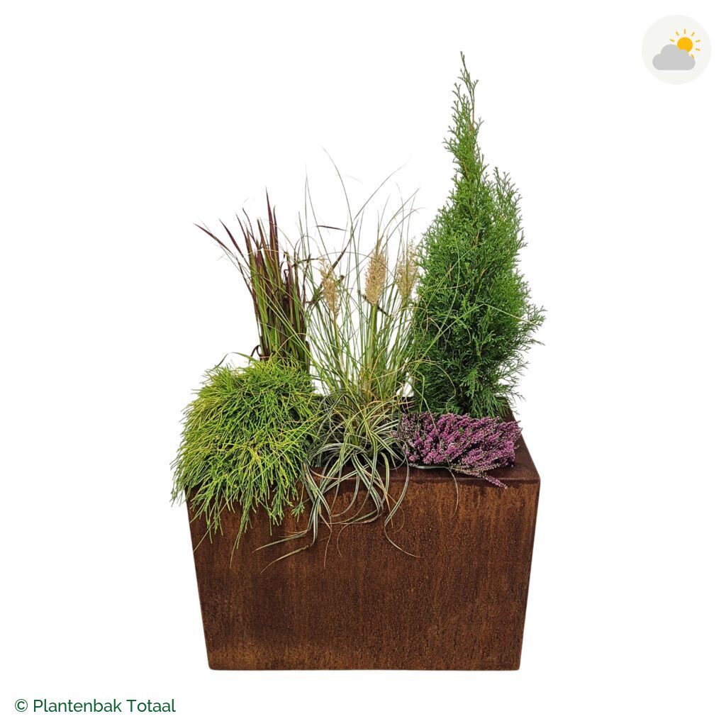 productfoto van plantenbak Cortenstaal Carrez Rechthoek Set Veluwe