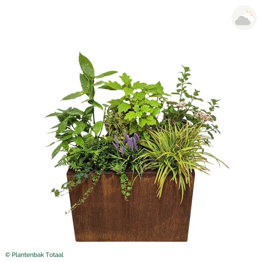 productfoto van plantenbak Cortenstaal Carrez Rechthoek Set York