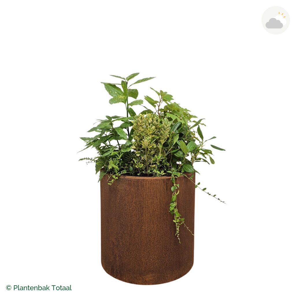productfoto van plantenbak Cortenstaal Circum Set Amazone