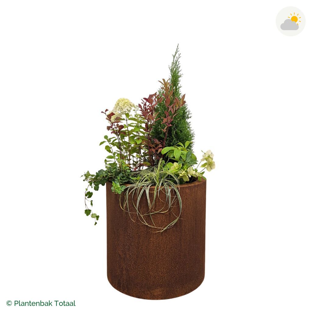productfoto van plantenbak Cortenstaal Circum Set Ardennen