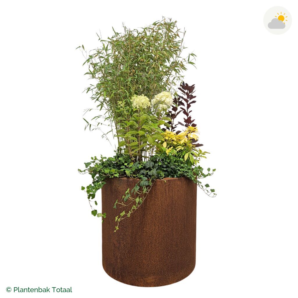 productfoto van plantenbak Cortenstaal Circum Set Bohemen