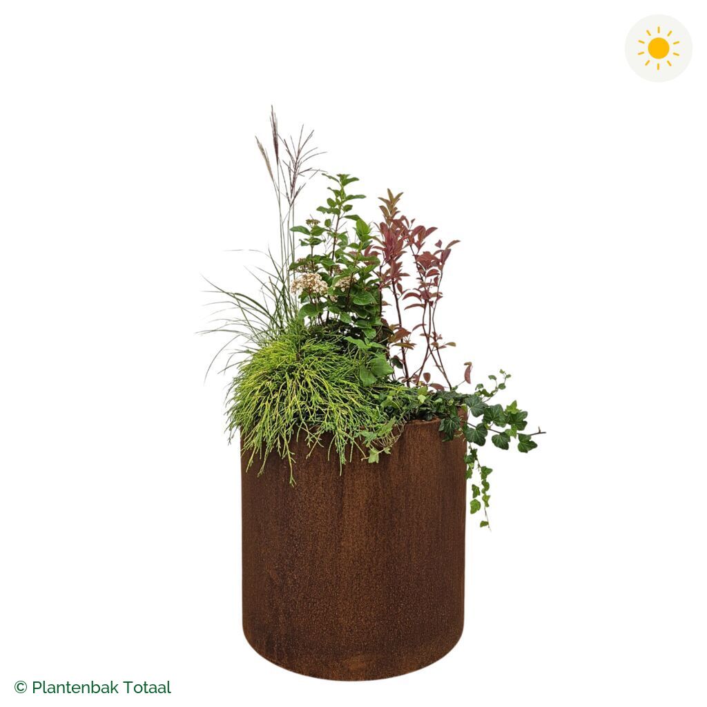 productfoto van plantenbak Cortenstaal Circum Set Bretagne