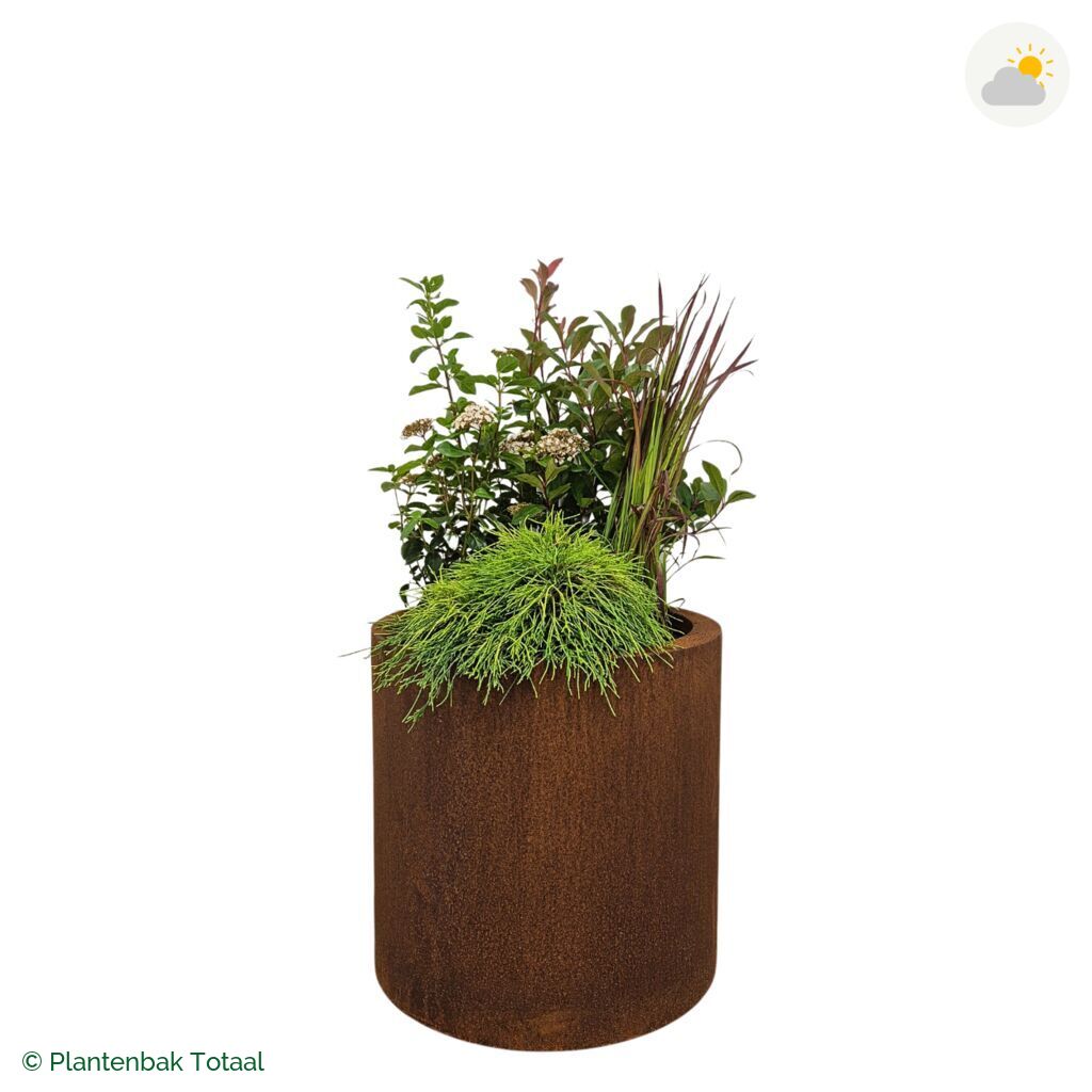 productfoto van plantenbak Cortenstaal Circum Set Eifel