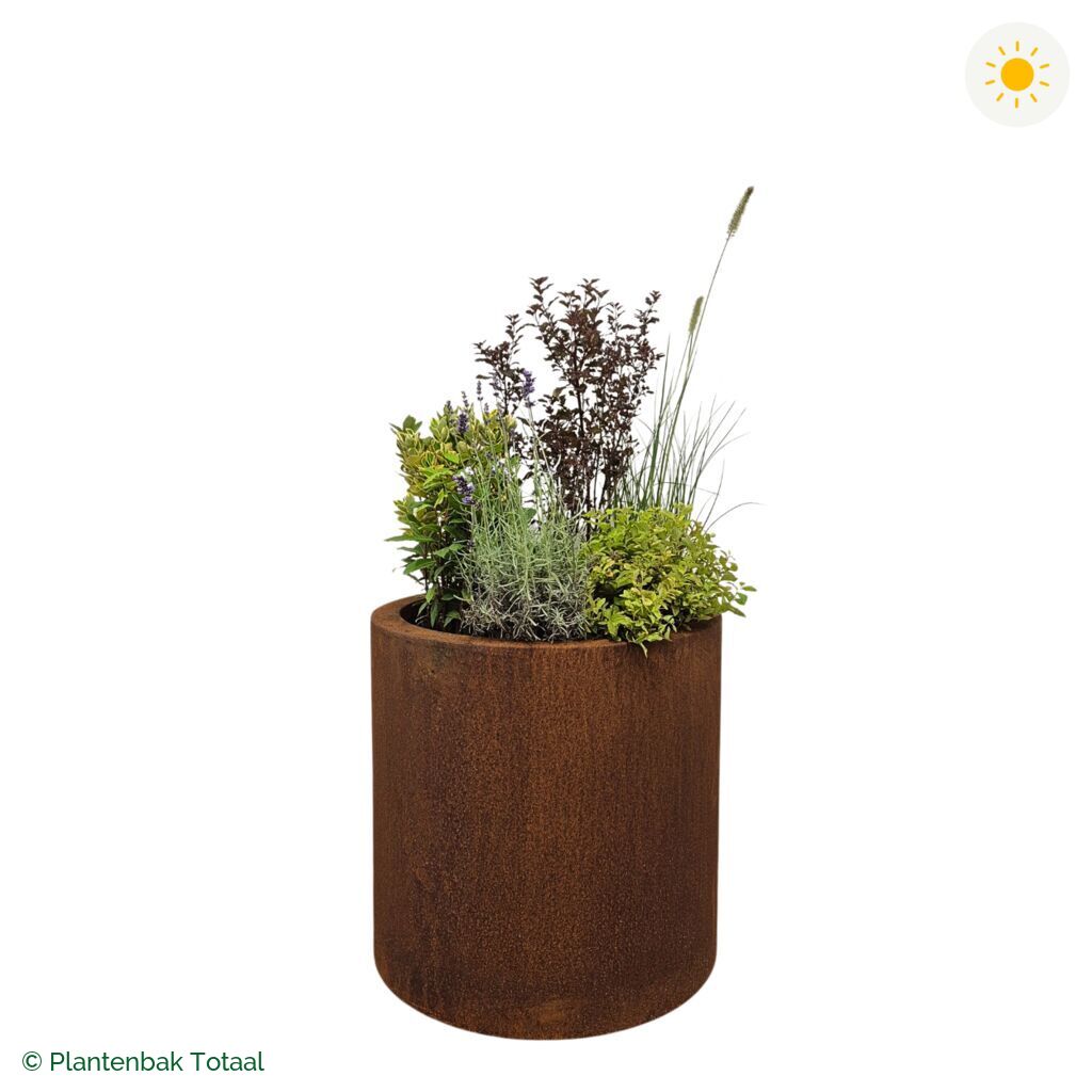 productfoto van plantenbak Cortenstaal Circum Set Provence