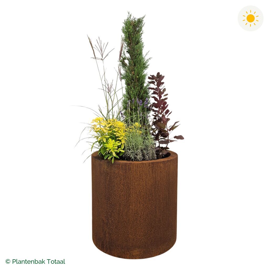productfoto van plantenbak Cortenstaal Circum Set Toscane