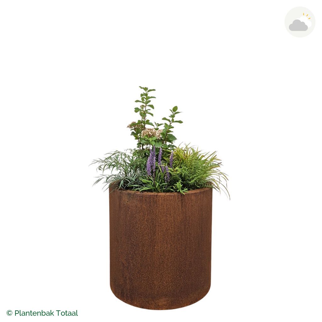 productfoto van plantenbak Cortenstaal Circum Set York