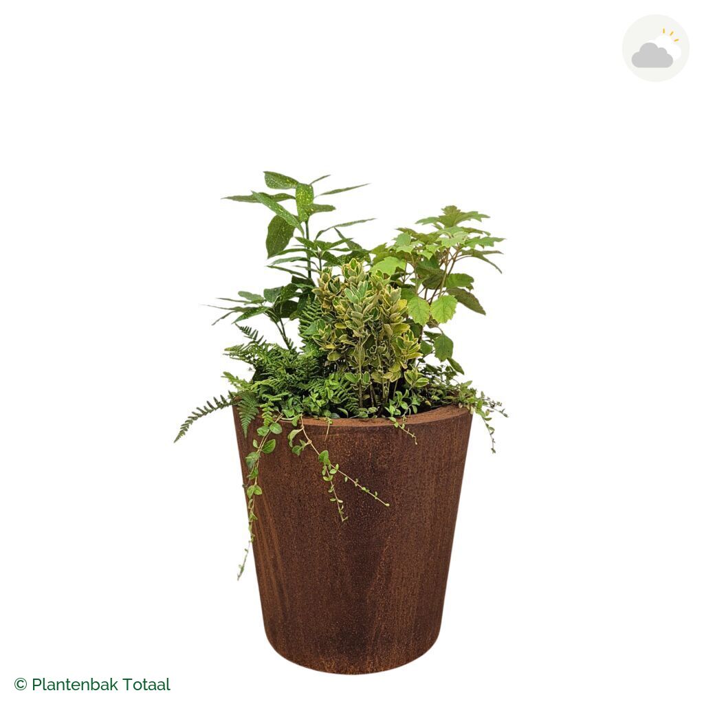 productfoto van plantenbak Cortenstaal Conic Set Amazone