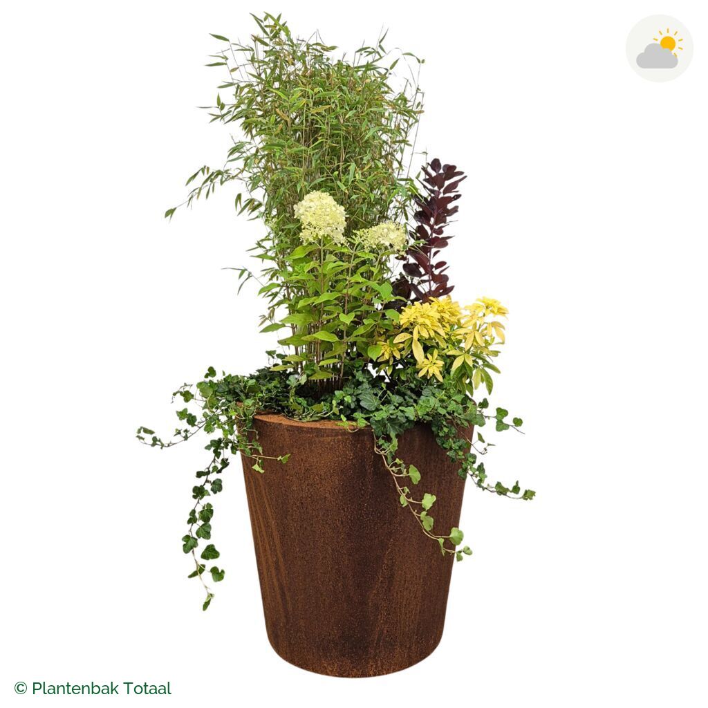 productfoto van plantenbak Cortenstaal Conic Set Bohemen