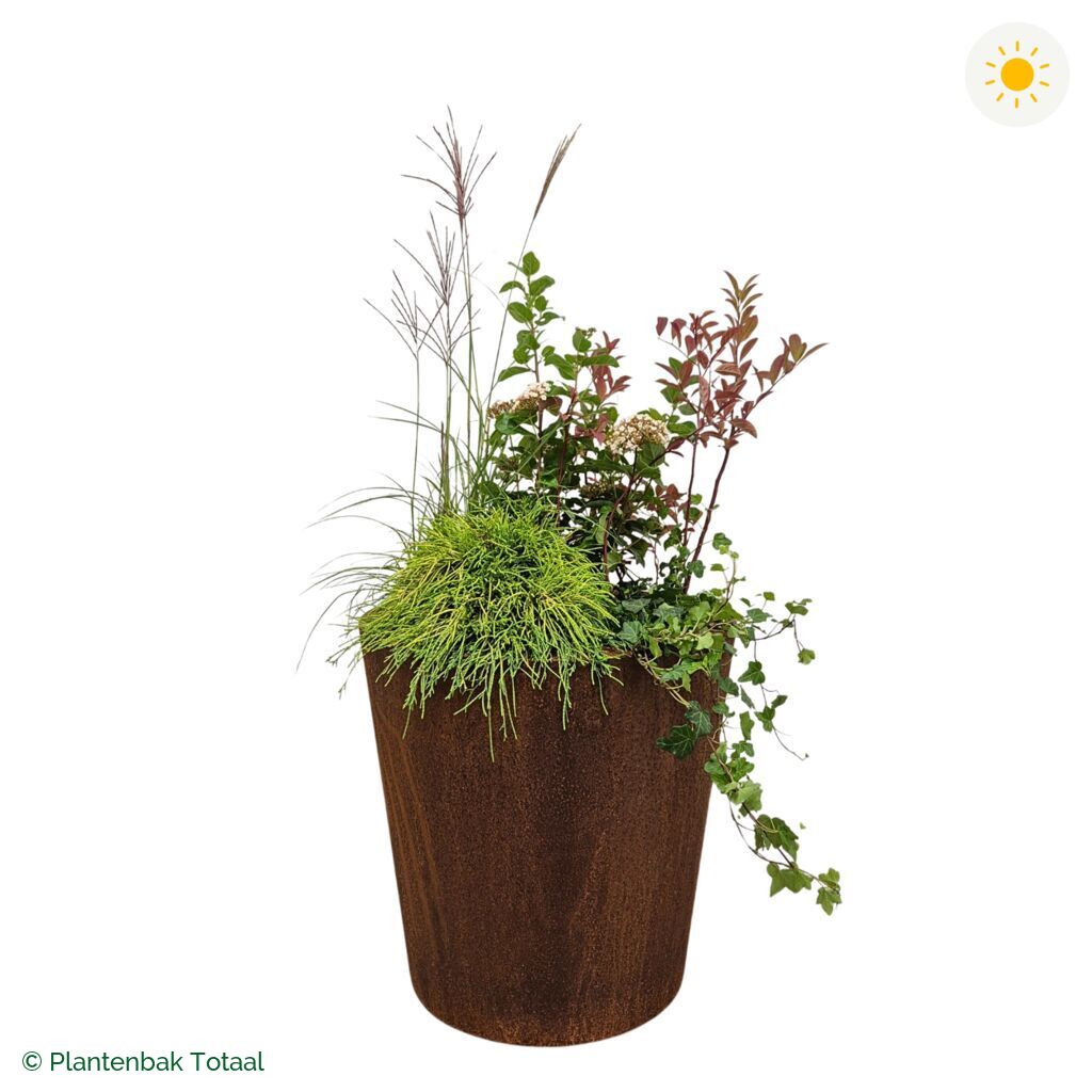 productfoto van plantenbak Cortenstaal Conic Set Bretagne
