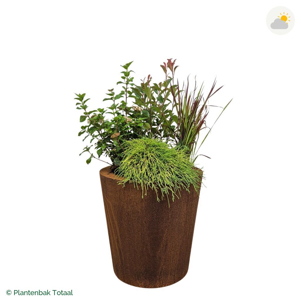 productfoto van plantenbak Cortenstaal Conic Set Eifel