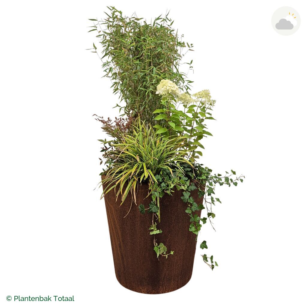 productfoto van plantenbak Cortenstaal Conic Set Himalaya
