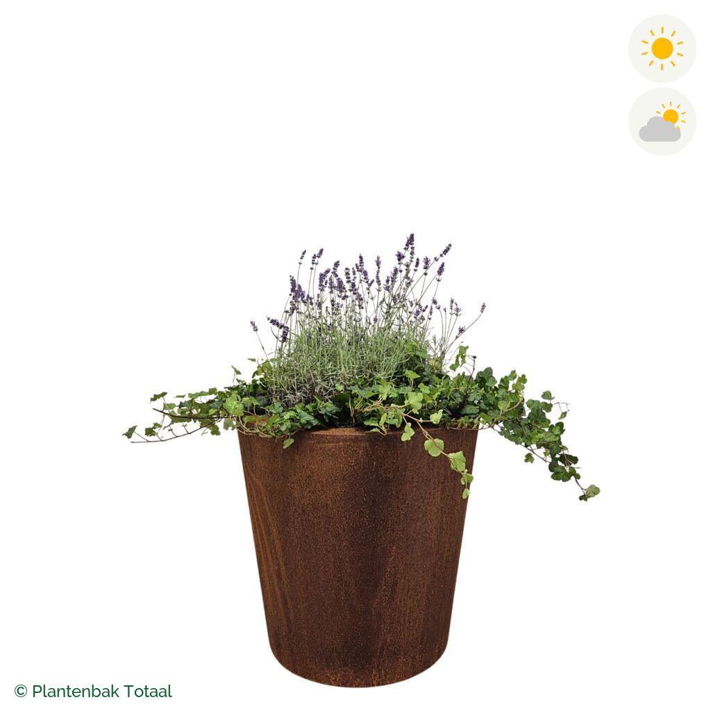 productfoto van plantenbak Cortenstaal Conic Lavendel Combinatie