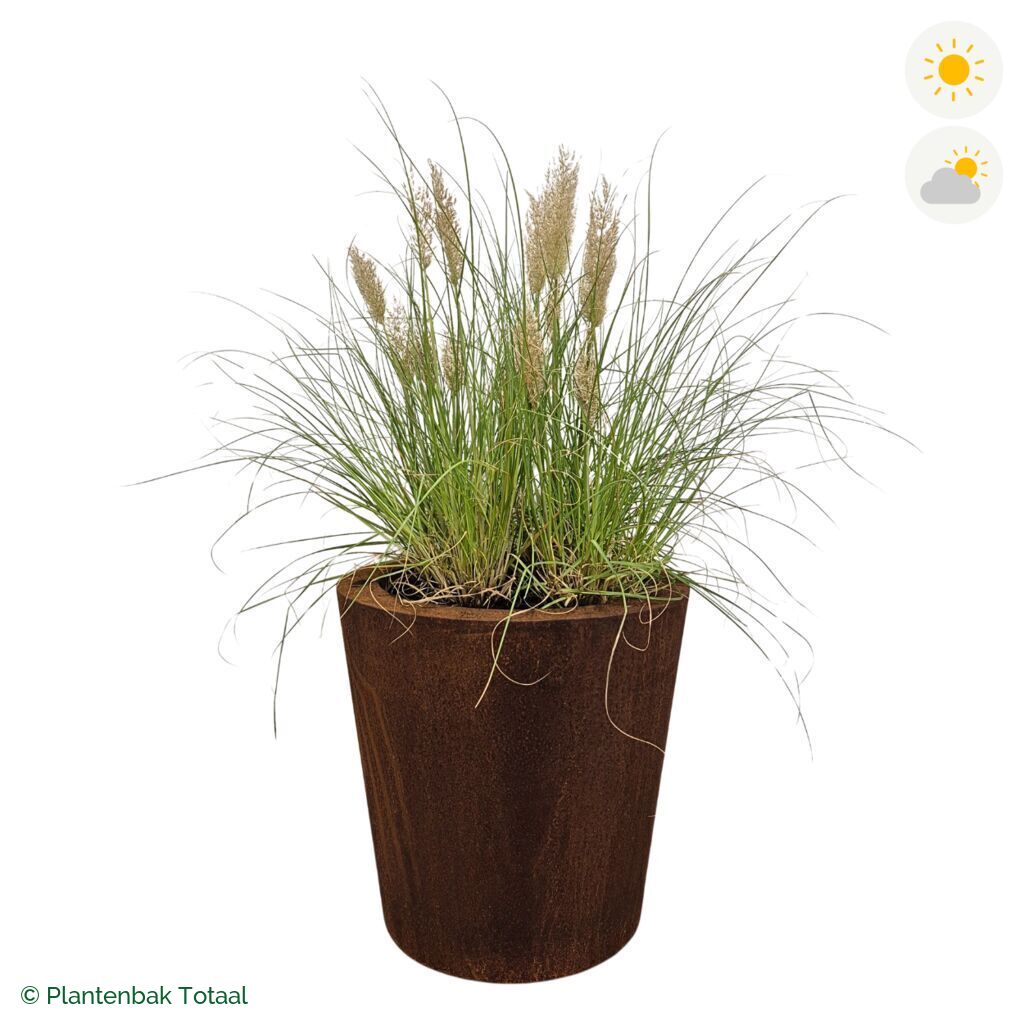 productfoto van plantenbak Cortenstaal Conic Pampasgras