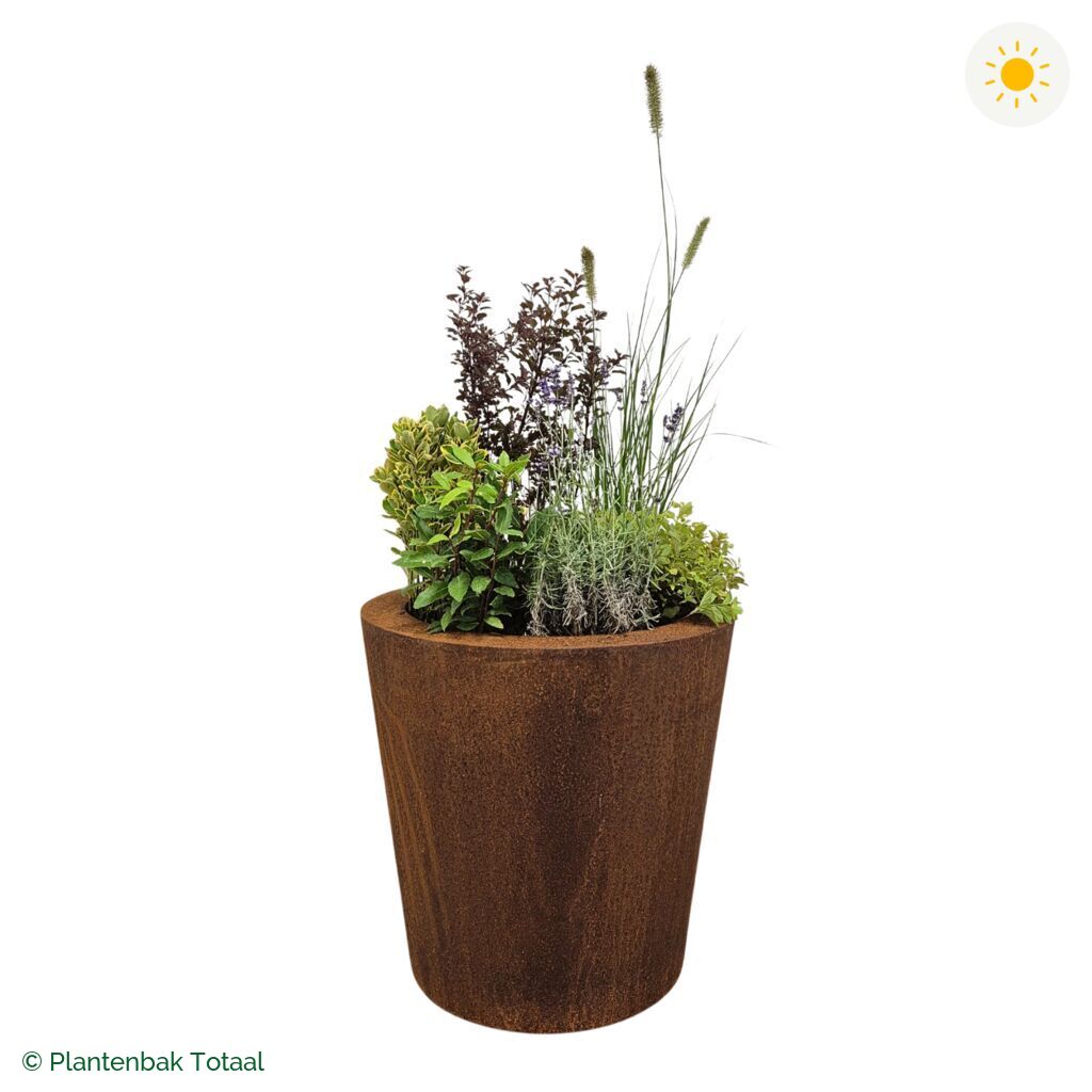 productfoto van plantenbak Cortenstaal Conic Set Provence