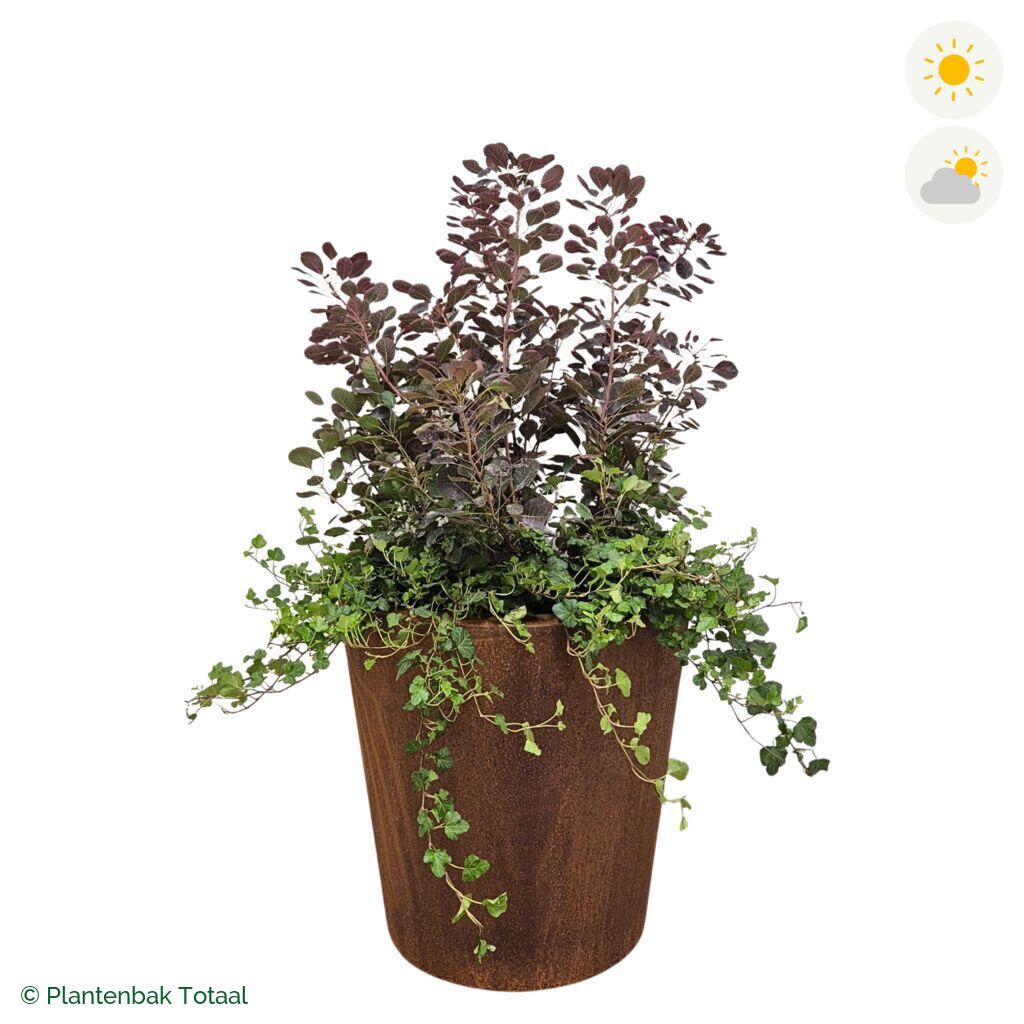 productfoto van plantenbak Cortenstaal Conic Pruikenboom Combinatie