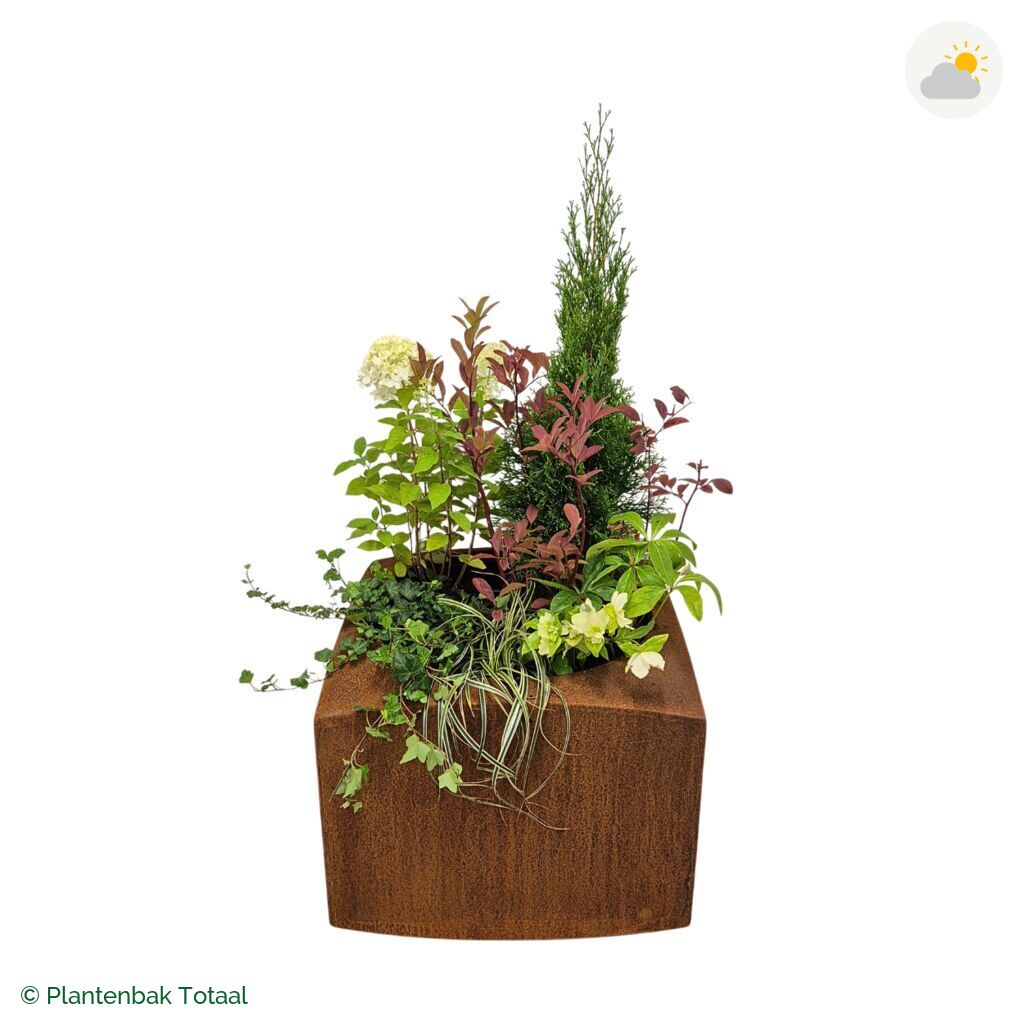 productfoto van plantenbak Cortenstaal Nooa Set Ardennen
