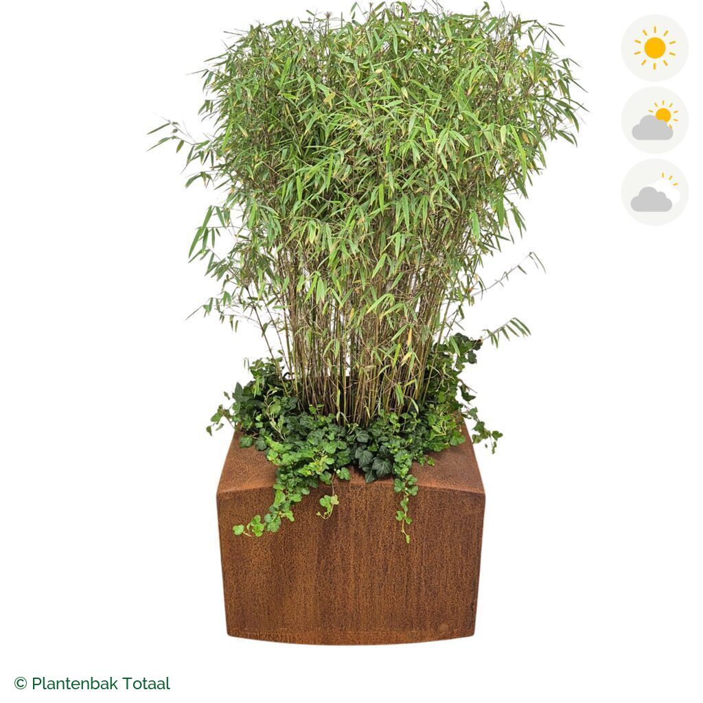 productfoto van plantenbak Cortenstaal Nooa Bamboe Combinatie