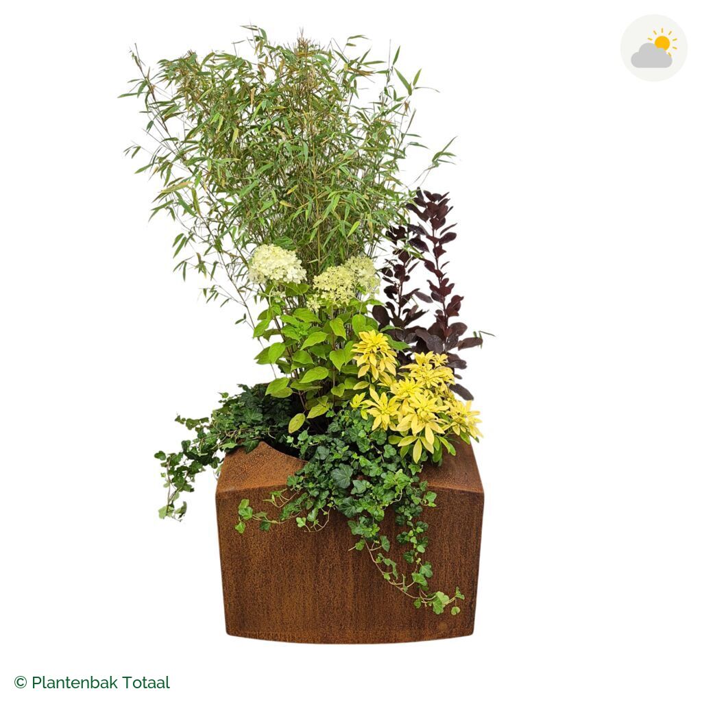 productfoto van plantenbak Cortenstaal Nooa Set Bohemen