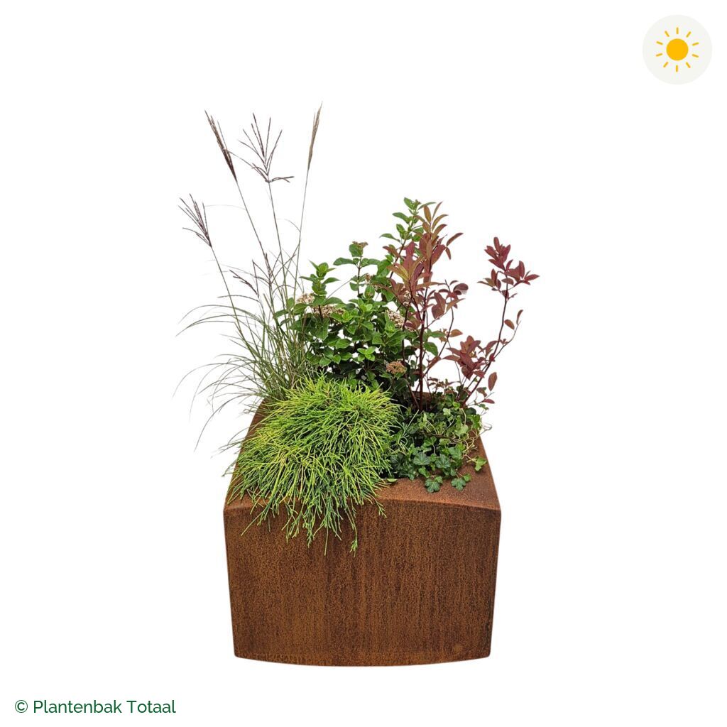 productfoto van plantenbak Cortenstaal Nooa Set Bretagne