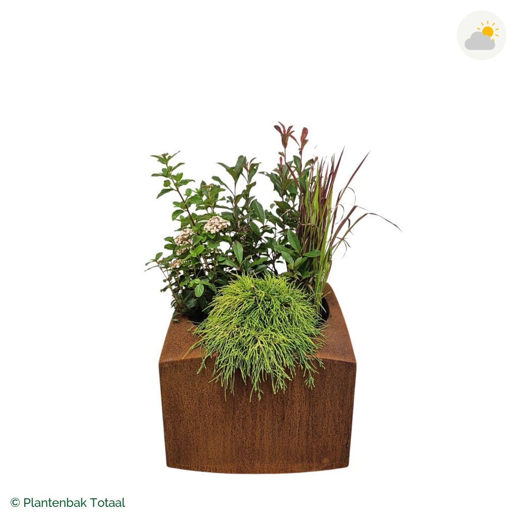 productfoto van plantenbak Cortenstaal Nooa Set Eifel