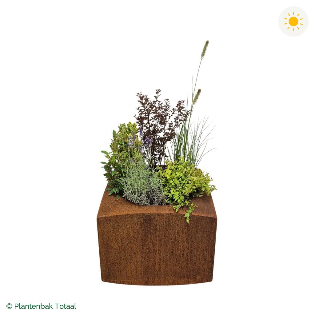 productfoto van plantenbak Cortenstaal Nooa Set Provence