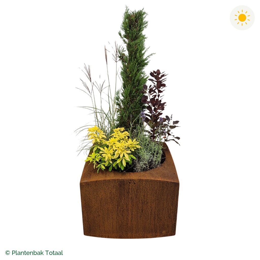 productfoto van plantenbak Cortenstaal Nooa Set Toscane