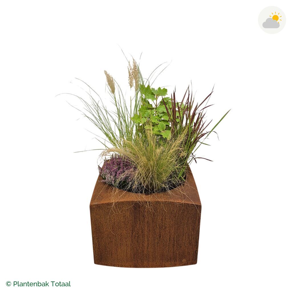 productfoto van plantenbak Cortenstaal Nooa Set Veluwe