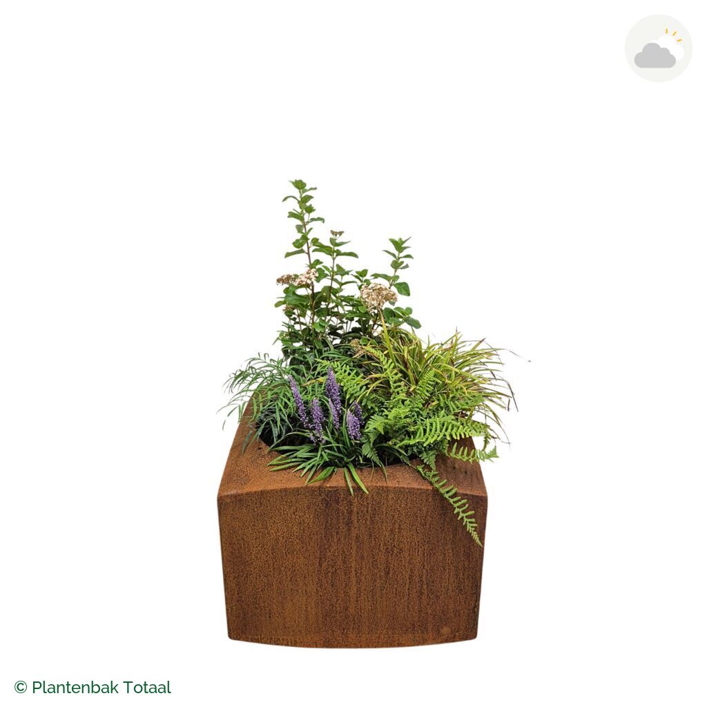 productfoto van plantenbak Cortenstaal Nooa Set York
