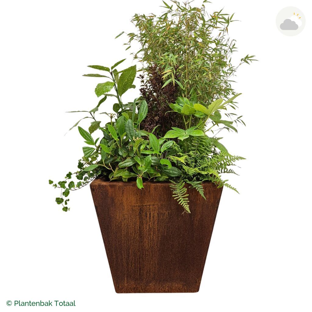 productfoto van plantenbak Cortenstaal Tap Set Amazone