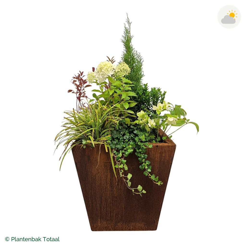 productfoto van plantenbak Cortenstaal Tap Set Ardennen