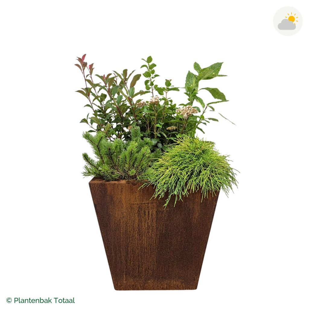 productfoto van plantenbak Cortenstaal Tap Set Eifel